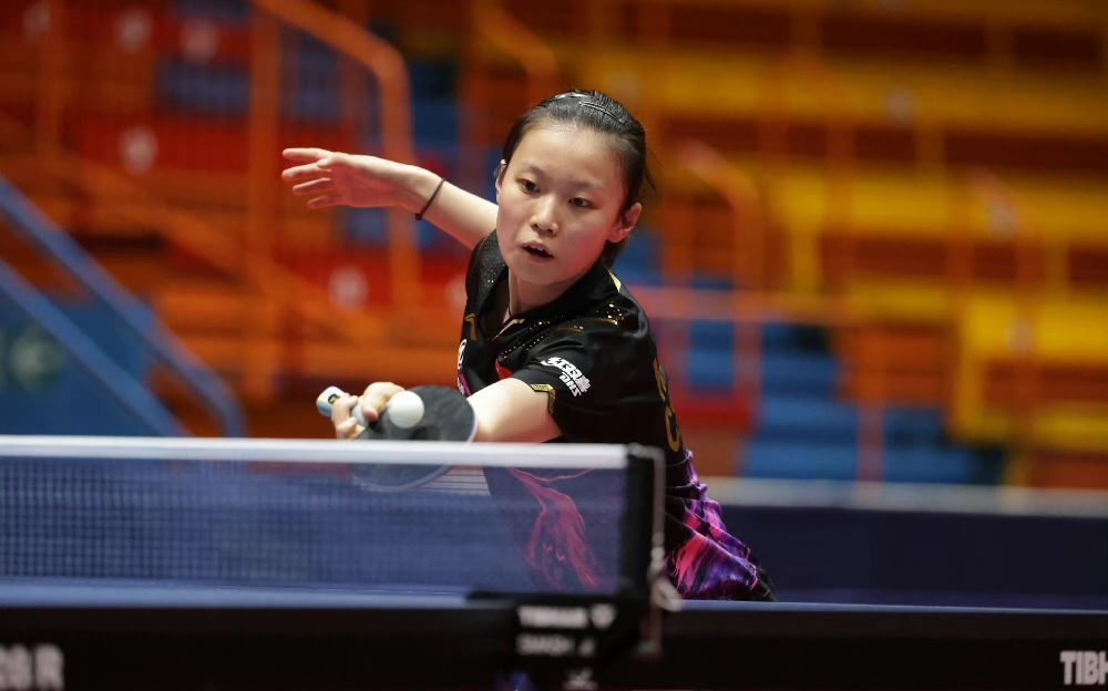 球迷的承诺 球迷的承诺