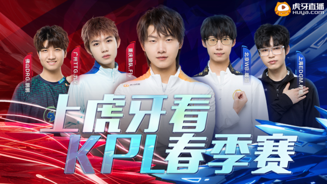 仅仅是观赏 仅仅是观赏