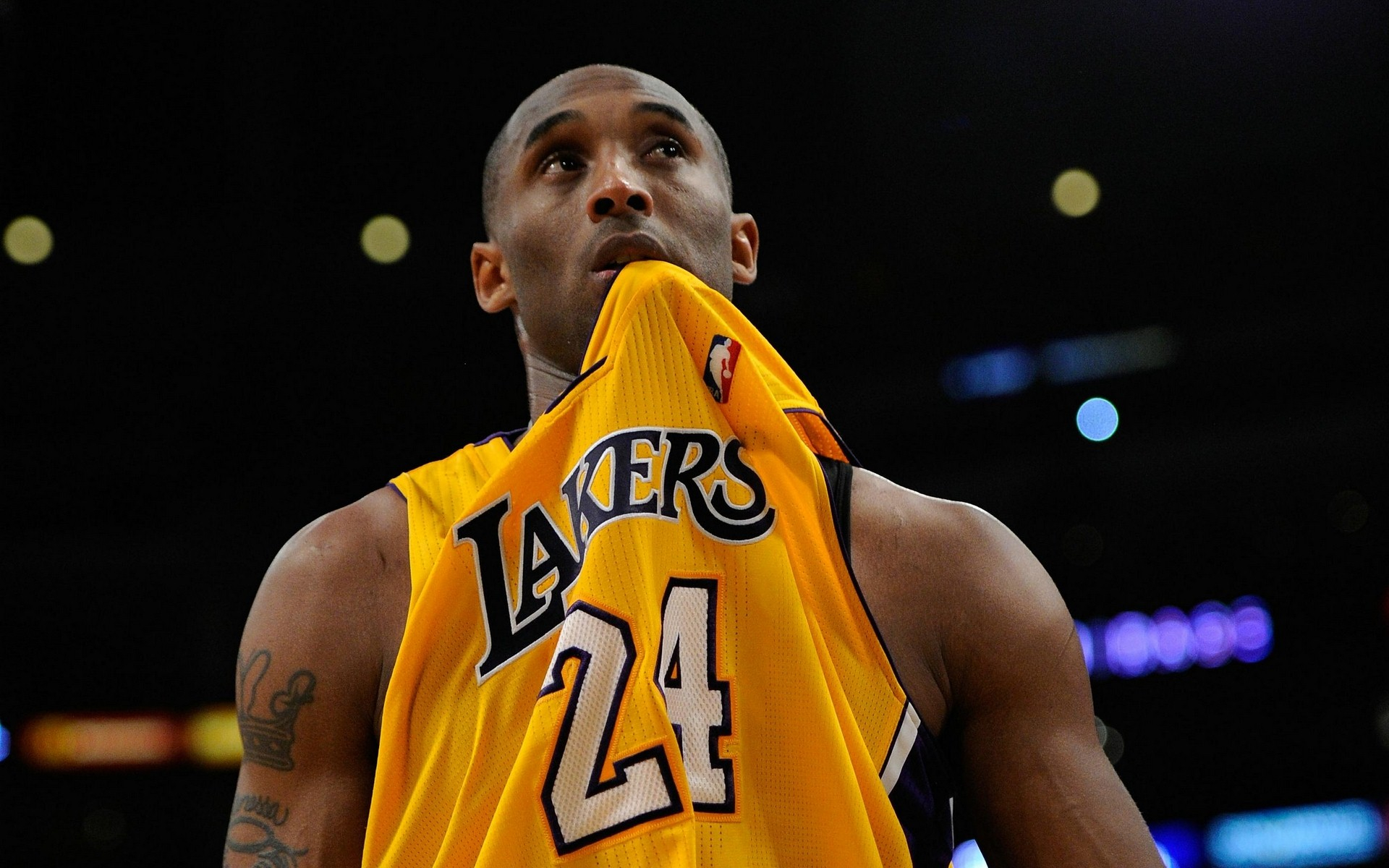 起到了重要 起到了重要