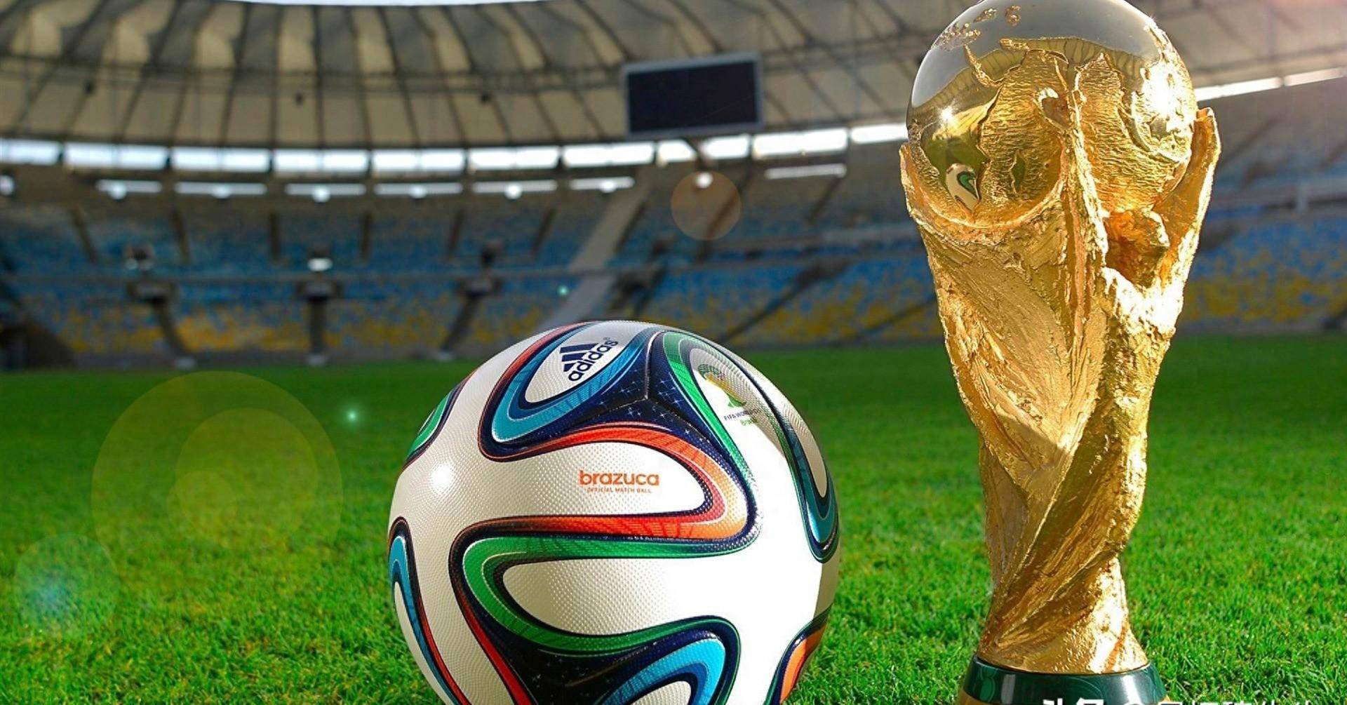 强调身体对 强调身体对